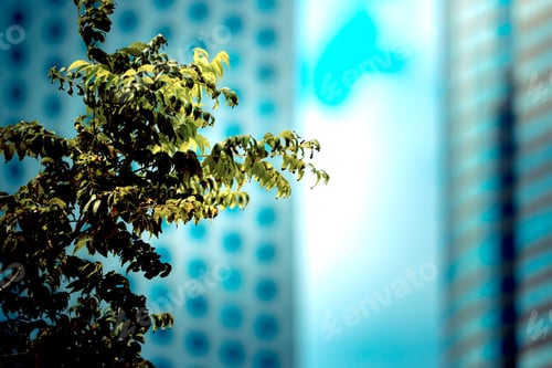 Preview: Office Building Closeup And Tree, Business Concept