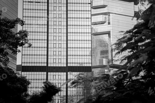 Preview: Office Building Closeup And Tree, Business Concept; Black And White Style
