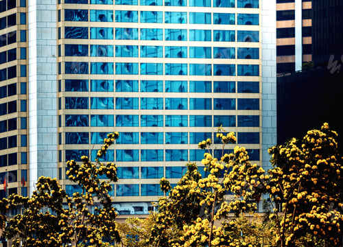 Preview: Office Building Closeup And Tree, Business Concept