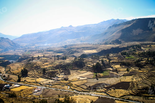 Preview: Colca Canyon In Peru