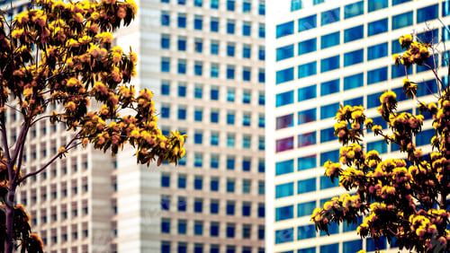 Preview: Office Building Closeup And Tree, Business Concept