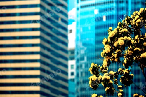 Preview: Office Building Closeup And Tree, Business Concept