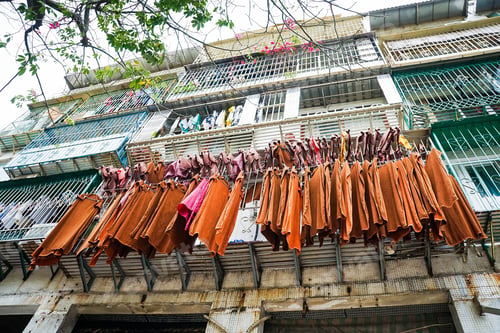 Preview: Macau Streetscape