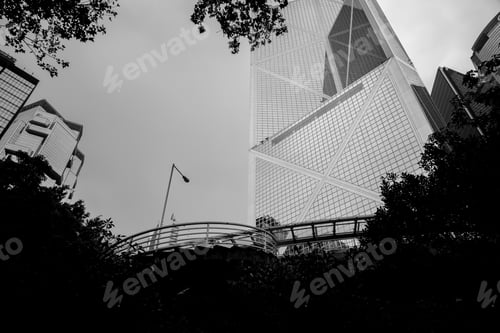 Preview: Office Building Closeup And Tree, Business Concept; Black And White Style