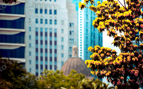 Preview: Office Building Closeup And Tree, Business Concept