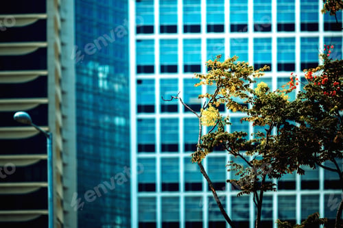 Preview: Office Building Closeup And Tree, Business Concept