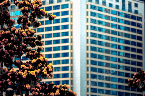Preview: Office Building Closeup And Tree, Business Concept