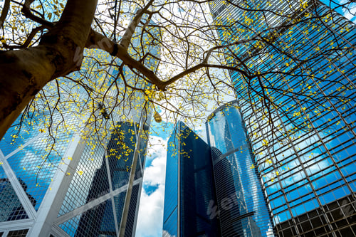 Preview: Modern Office Building Detail, Glass Surface