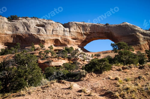 Preview: Arches National Park In Utah
