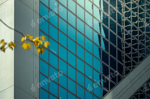 Preview: Modern Office Building Detail, Glass Surface
