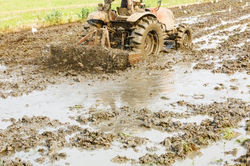 Preview: Agricultural Tractor Cultivated Land In The Paddy Fields