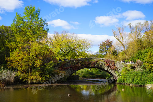 Preview: Fall In Central Park Upper East Side