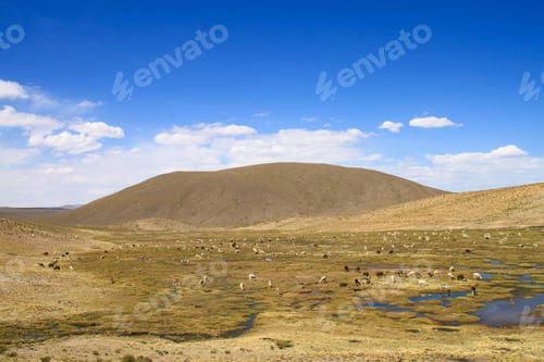 Preview: Peru Highlands