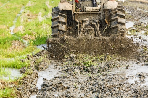 Preview: Agricultural Tractor Cultivated Land In The Paddy Fields