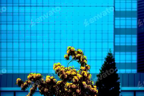 Preview: Office Building Closeup And Tree, Business Concept