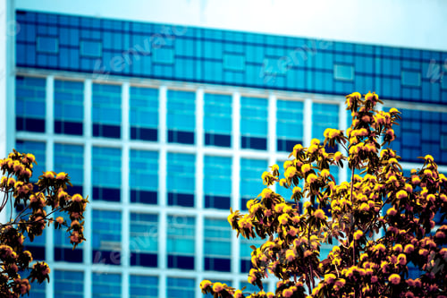 Preview: Office Building Closeup And Tree, Business Concept