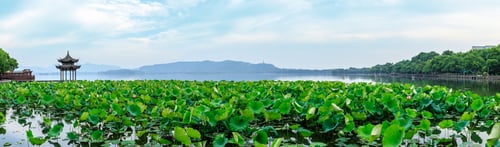 Preview: Hangzhou West Lake Scenery Panorama