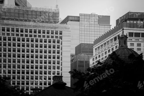 Preview: Office Building Closeup And Tree, Business Concept; Black And White Style
