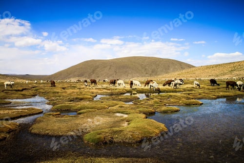 Preview: Peru Highlands
