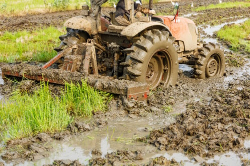 Preview: Agricultural Tractor Cultivated Land In The Paddy Fields