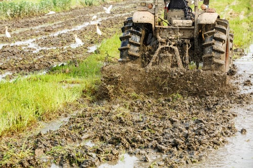Preview: Agricultural Tractor Cultivated Land In The Paddy Fields