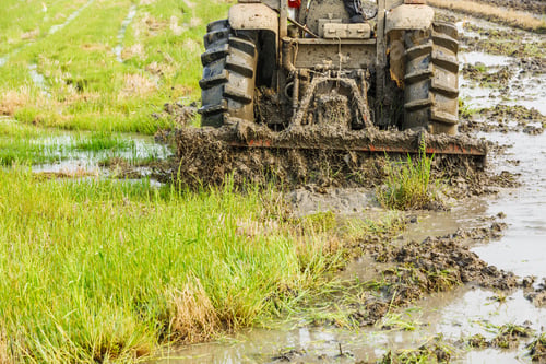 Preview: Agricultural Tractor Cultivated Land In The Paddy Fields