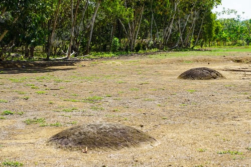 Preview: Precolumbian Chiefdom Settlements With Stone Spheres Of The Diquís - Costa Rica Unesco Site