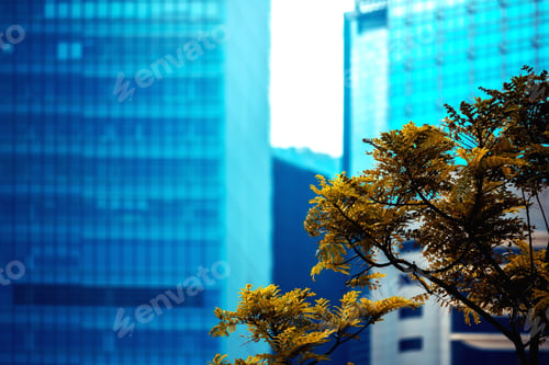 Preview: Office Building Closeup And Tree, Business Concept