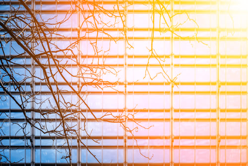 Preview: Office Building Window Close Up With Sunlight