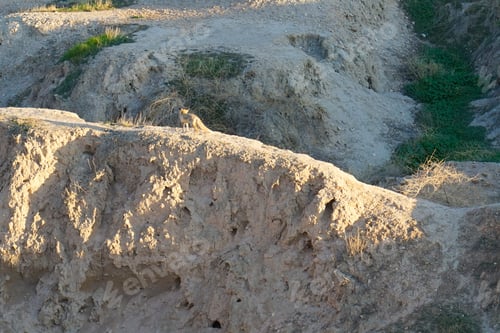 Preview: The Ancient Ruins Of Susa Next To The Modern Iranian Town Of Shush