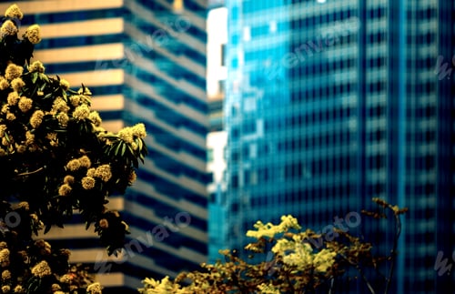 Preview: Office Building Closeup And Tree, Business Concept