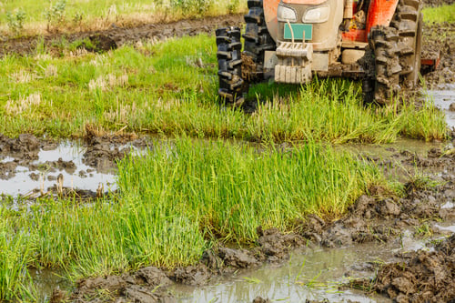 Preview: Agricultural Tractor Cultivated Land In The Paddy Fields