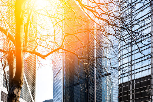 Preview: Office Building Window Close Up With Sunlight