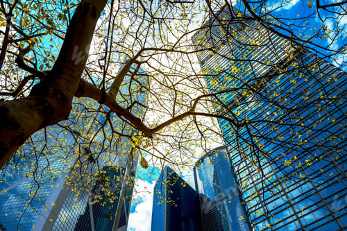 Preview: Modern Office Building Detail, Glass Surface