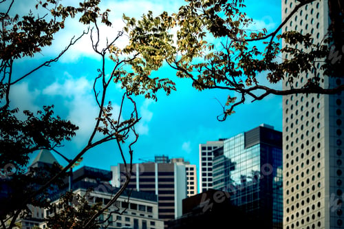 Preview: Office Building Closeup And Tree, Business Concept