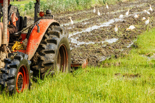 Vista previa: Agricultural Tractor Cultivated Land In The Paddy Fields