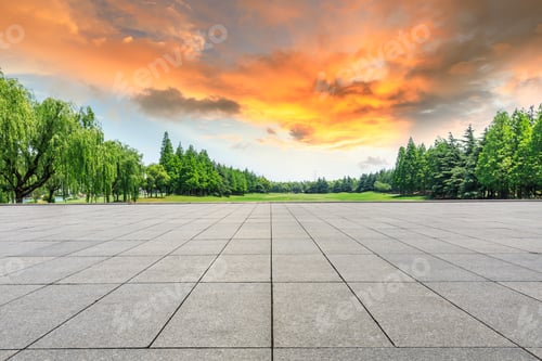 Preview: Empty Square Floor And Green Trees Natural Landscape