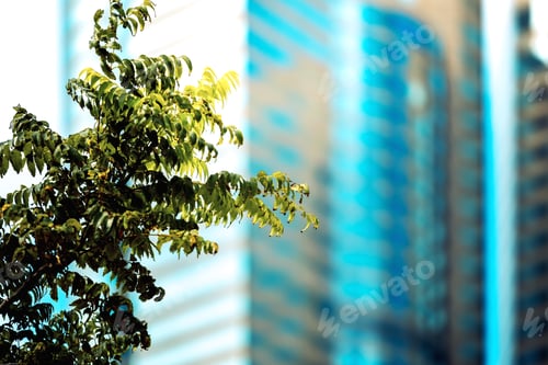 Preview: Office Building Closeup And Tree, Business Concept