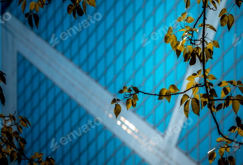 Preview: Modern Office Building Detail, Glass Surface