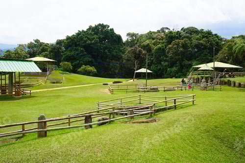 Visualização: Parque Arqueológico de San Agustín, Patrimônio Mundial da Unesco, na Colômbia