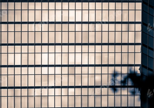 Preview: Windows Of Commercial Building In Hong Kong