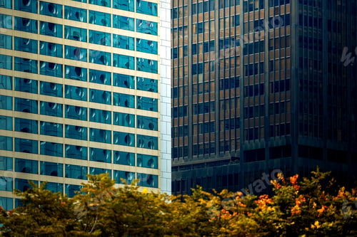 Preview: Office Building Closeup And Tree, Business Concept