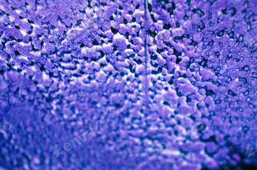 Preview: Ink, Paint, Abstract. Closeup Of The Painting. Colorful Abstract Painting Background