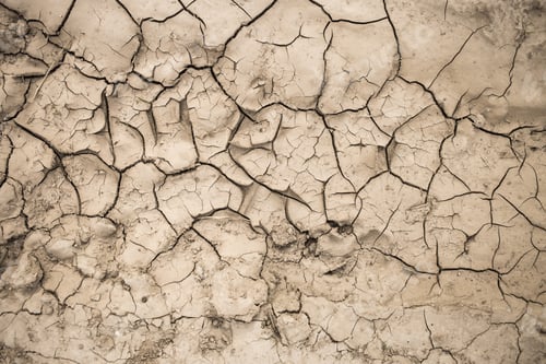 Preview: The Texture Of The Earth In The Desert