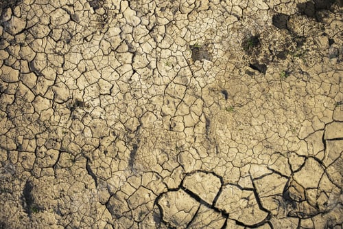 Preview: The Texture Of The Earth In The Desert