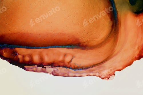 Preview: Ink, Paint, Abstract. Closeup Of The Painting. Colorful Abstract Painting Background