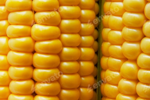 Preview: Corn