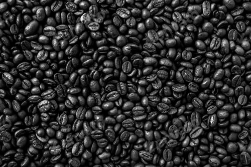 Preview: Coffee Beans Background. Black And White