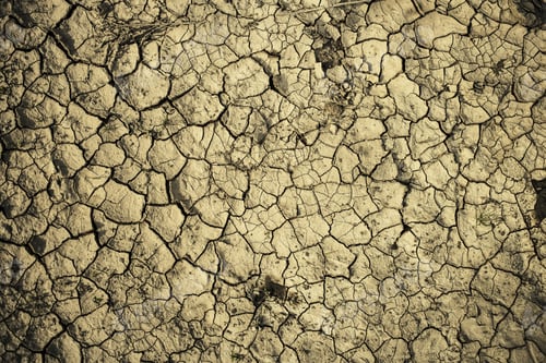 Preview: The Texture Of The Earth In The Desert