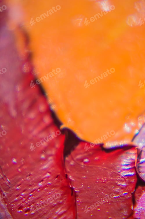 Vista previa: Fragment. Multicolored Texture Painting. Abstract Art Background. Oil On Canvas. Rough Brushstrokes